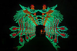 Bernhard Saalfeld - China-Light-Festival 2020 (9v9)